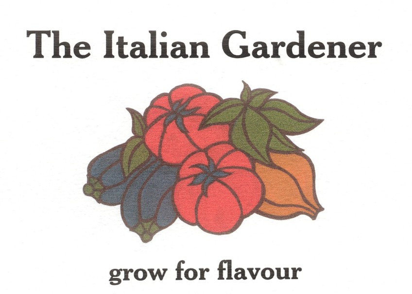 logo00011a.jpg logo00011a.jpg